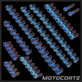 (Talaria XXX) Titanium Bolt Kit