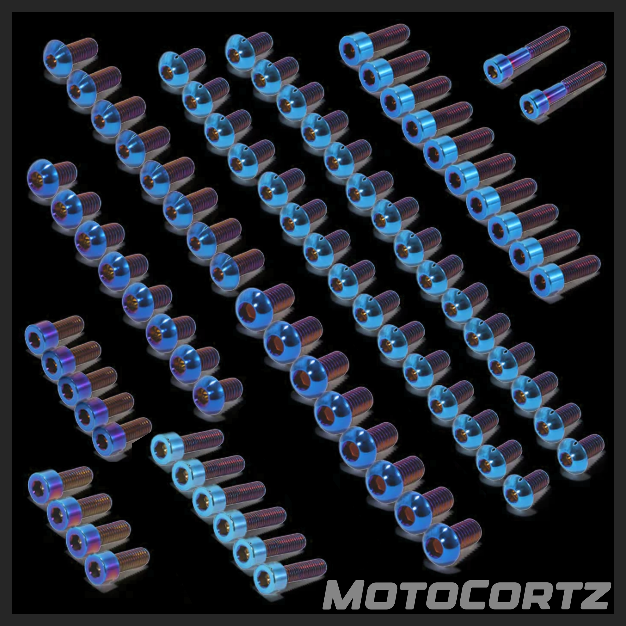 (Talaria XXX) Titanium Bolt Kit