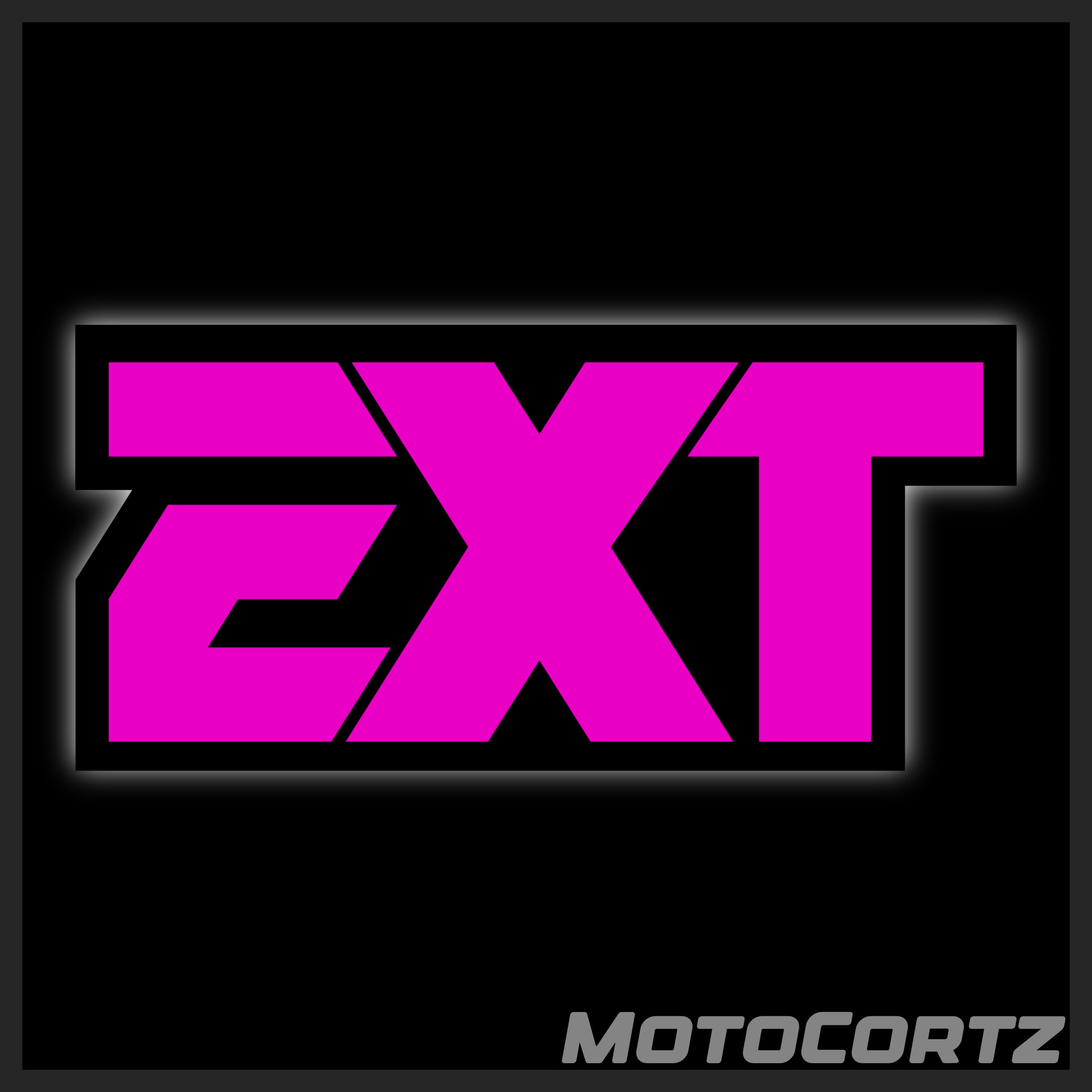 EXT Fork Decals (2x)