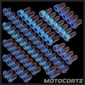 (Talaria Sting R MX4) Titanium Bolt Kit