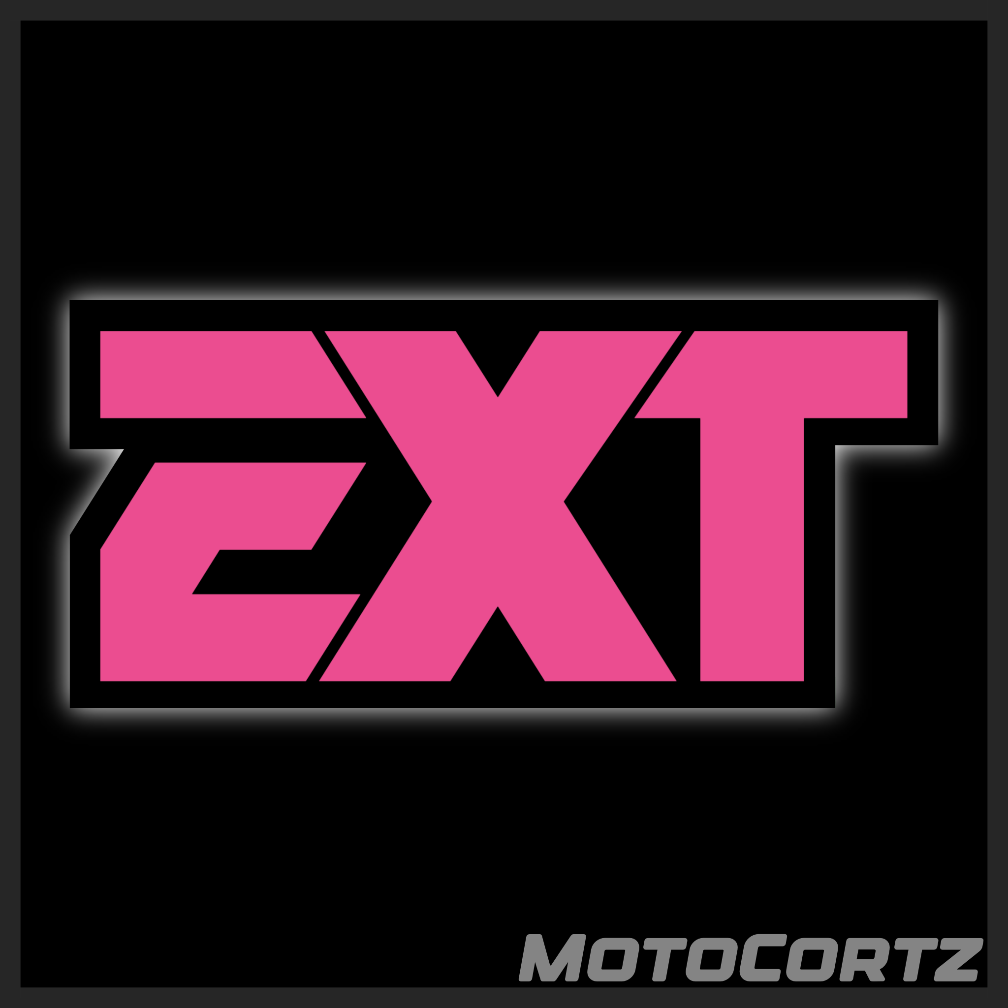 EXT Fork Decals (2x)