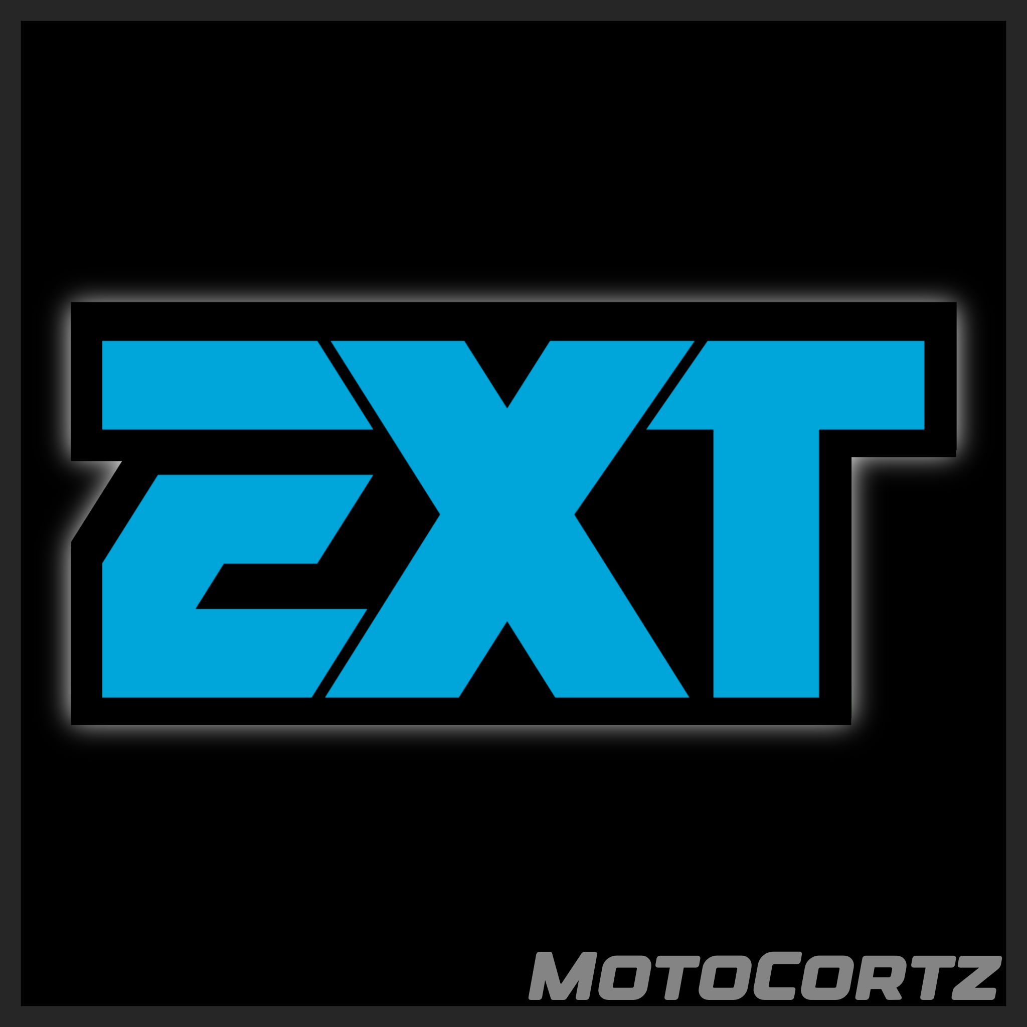EXT Fork Decals (2x)
