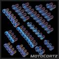 (Surron Ultra Bee) Titanium Bolt Kit